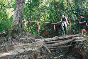 BIB: 
                            <button type="button" onclick="openModal(27745284)" class="btn btn-primary btn-sm float-right btn-popup" data-toggle="modal" data-target=".modal-high-quality">
                        <i class="fas fa-shopping-cart"></i> Add to Cart
                    </button>
                                            <button type="button" onclick="isThisMe(27745284, true)" class="btn btn-success btn-sm float-right btn-popup btn-isme hidden" data-toggle="tooltip" data-placement="bottom" title="นี่คือรูปของคุณใช่ไหม คลิกที่นี่เพื่อเอาเข้าอัลบั้ม">
                        <i class="fas fa-plus"></i> Add to album
                    </button>
                    <button type="button" onclick="isThisMe(27745284, false)" class="btn btn-warning btn-sm float-right btn-popup btn-isnotme hidden">
                        <i class="fas fa-ban"></i> Remove from album
                    </button>